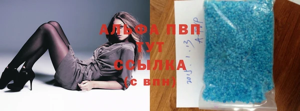 гашик Алексеевка