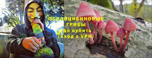 твердый Алексин