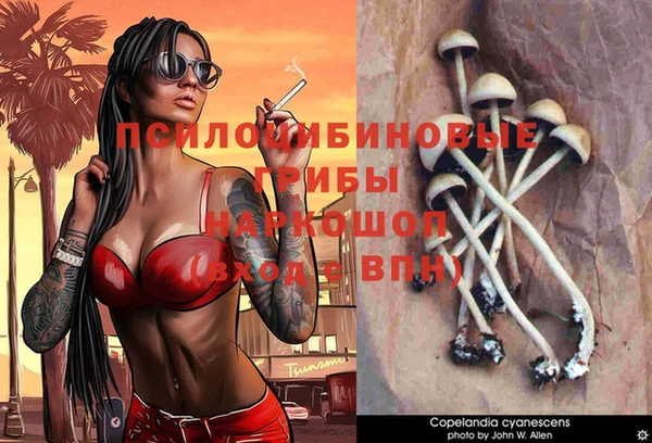гашик Алексеевка