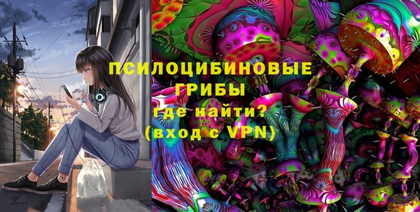 гашик Алексеевка