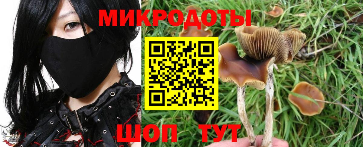 Бердск  Галлюциногенные грибы Magic Shrooms  Вход с VPN 